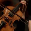 a person playing violin while holding a violin bow