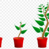 Growing potted plant png sticker