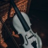 ヴァイオリン奏者が絶対音感を持つメリット・デメリット